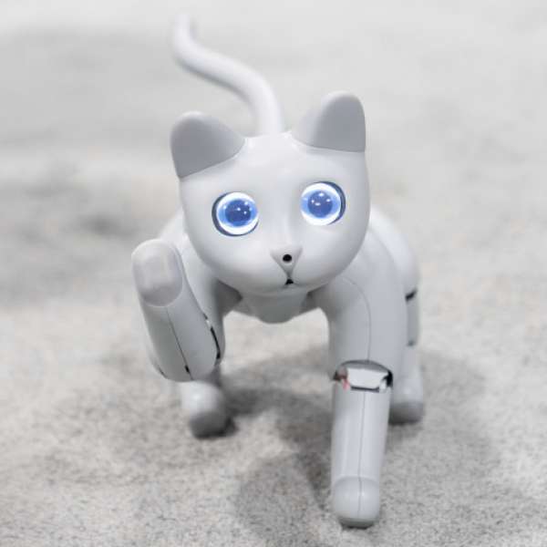 A Chinese company has created a robot cat