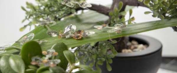 DEAnsect – an elastic insect robot that can withstand a swatter